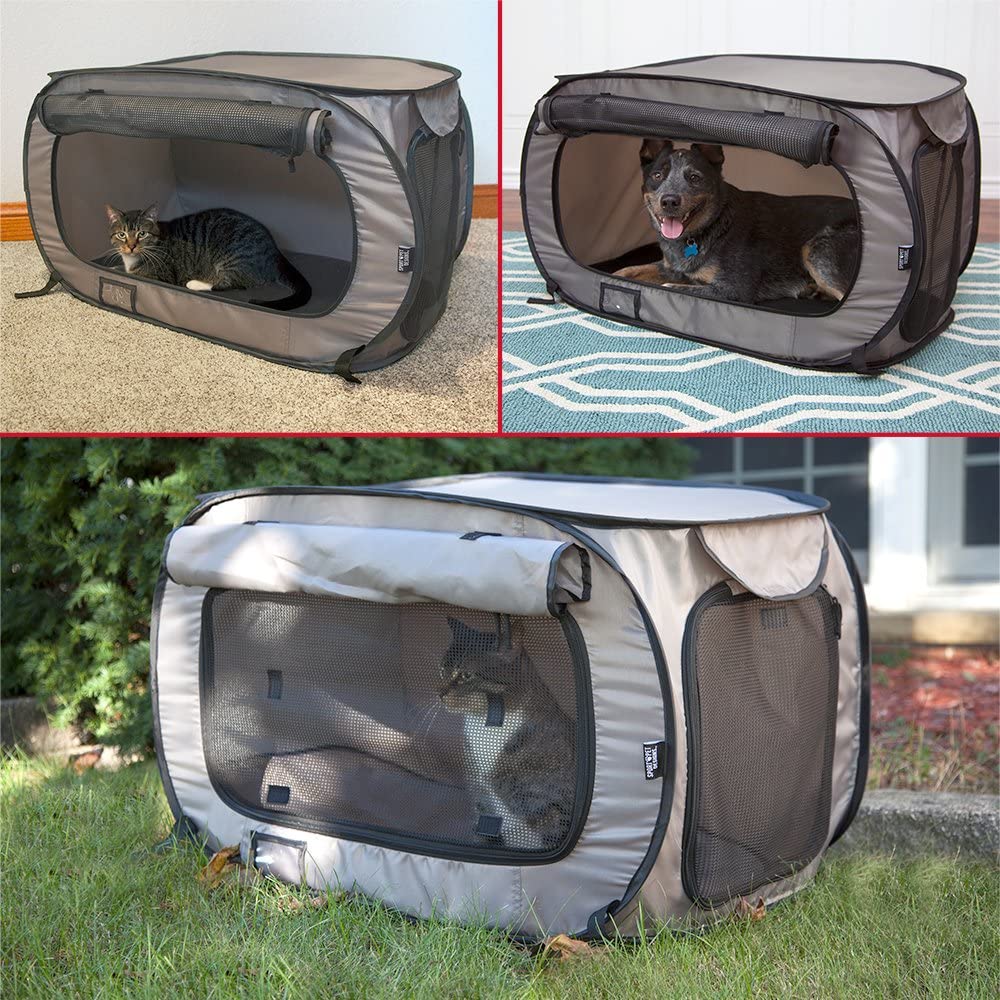 Pet Tents